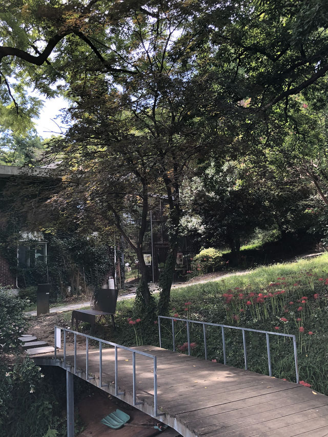 🏠 광주 우일선 선교사 사택, 시간의 흔적을 간직한 공간