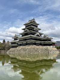 Matsumoto castle cherry blossom @ Matsumoto