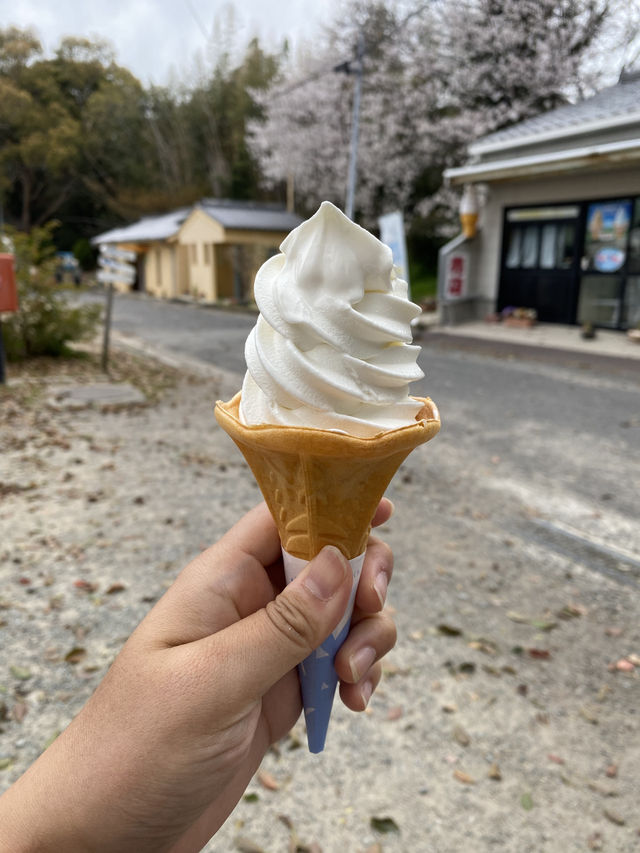 Cute cows and best milk ice cream ever!