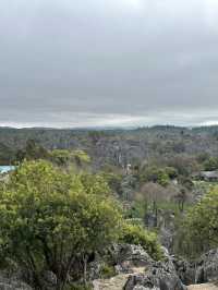 Shilin amazing stone forest