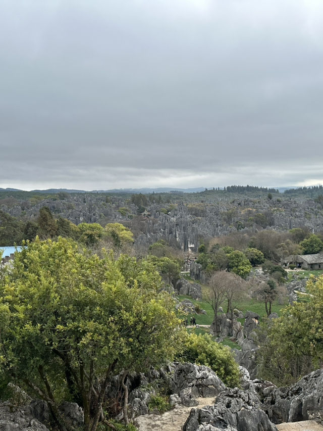 Shilin amazing stone forest