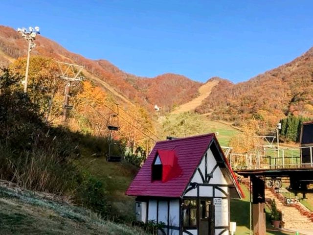 宛如歐洲童話小鎮的滑雪場度假村---白馬綠色廣場飯店 Hotel Green Plaza Hakuba