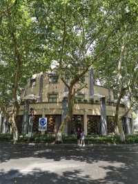 Leafy Escapes: Wandering Through Shanghai’s Green Side Roads
