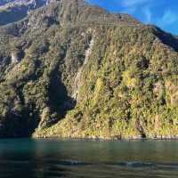 Fiordland National Park, New Zealand – Misty Fjords, Clear Intentions