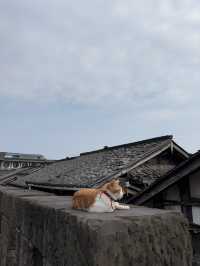 จุดถ่ายรูป กำแพงเมืองโบราณ ที่ Dujiangyan, Chengdu
