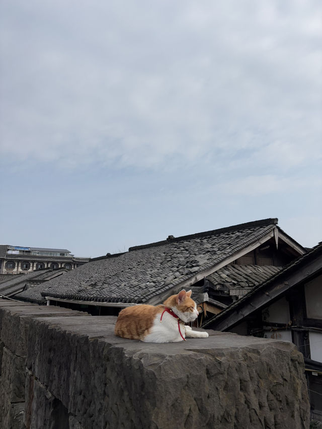 จุดถ่ายรูป กำแพงเมืองโบราณ ที่ Dujiangyan, Chengdu