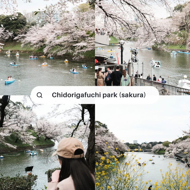เสน่ห์แห่งโตเกียว – เมืองหลวงที่ไม่เคยหลับใหล