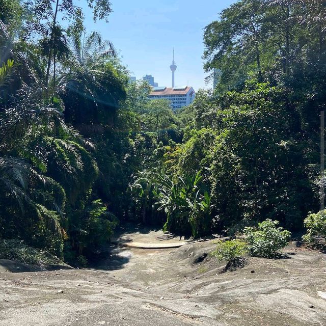 Taman Tugu Forest Trail 