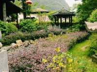 🇨🇳:桂林の竹林リトリート