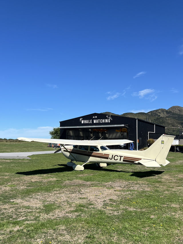 Soar Above the Ocean: Kaikōura’s Whale Watching by Plane