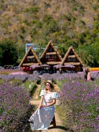 Hokkaido Flower park Khaoyai