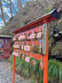 【日光】GWに行きたい!!縁結びスポットで良縁パワーを授かろう!!