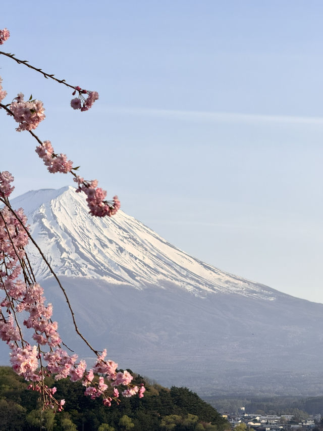 Tokyo thrills, Fuji chills 