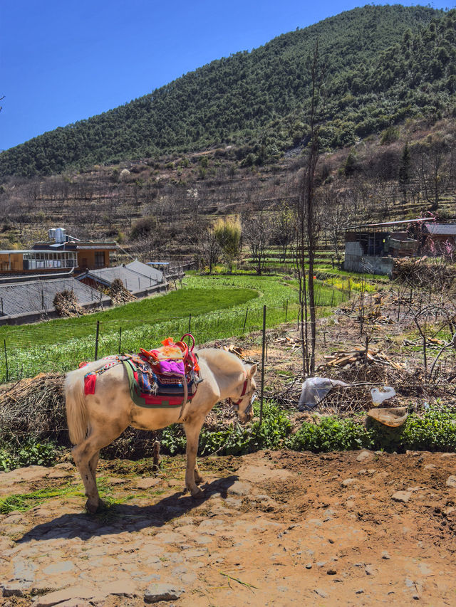 Walking on Clouds: A Journey to Baishuitai’s White Terraces