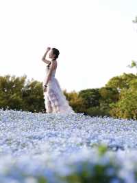 4月去福岡不要錯過這片春日花海