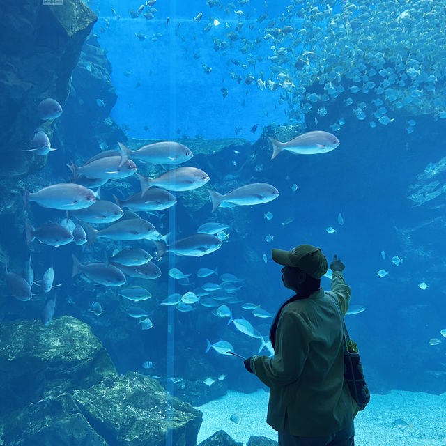 X Park Aquarium 