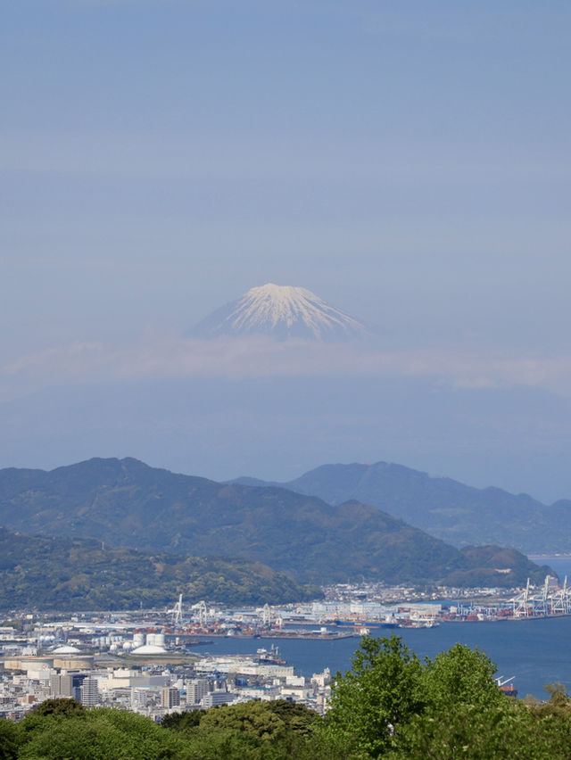 【静岡🇯🇵】のんびり週末静岡旅プラン