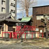 🇯🇵【愛媛県】境内が広い！阿沼美神社⛩️