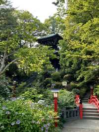 【埼玉×熊谷】境内にある平和の塔と紫陽花