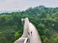 🌉 Henderson Waves: Singapore’s Most Instagram-Worthy Bridge (With a Side of Jungle Vibes!) 🌿