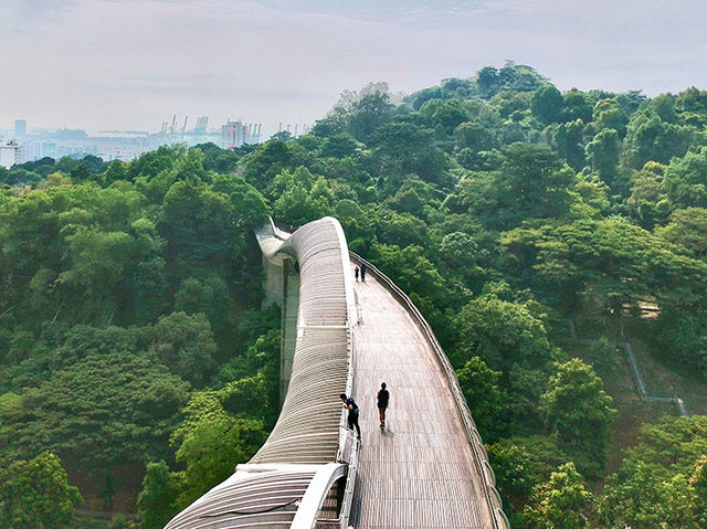 🌉 Henderson Waves: Singapore’s Most Instagram-Worthy Bridge (With a Side of Jungle Vibes!) 🌿