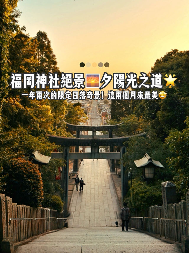 福岡宮地嶽神社「光之道」🌅 被夕陽點亮的參道✨嵐也來拍廣告的浪漫絕景⛩️