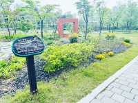 Where Nature Nurtures