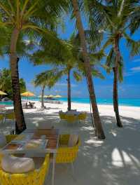 beach in maldives