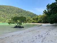 หาดไม้งาม อุทยานแห่งชาติหมู่เกาะสุรินทร์