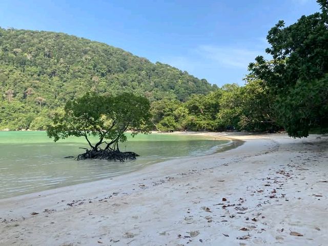 หาดไม้งาม อุทยานแห่งชาติหมู่เกาะสุรินทร์