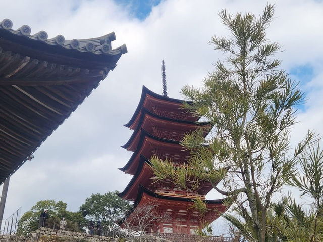 世界文化遺產-嚴島宮島神社、五重塔、千疊閣