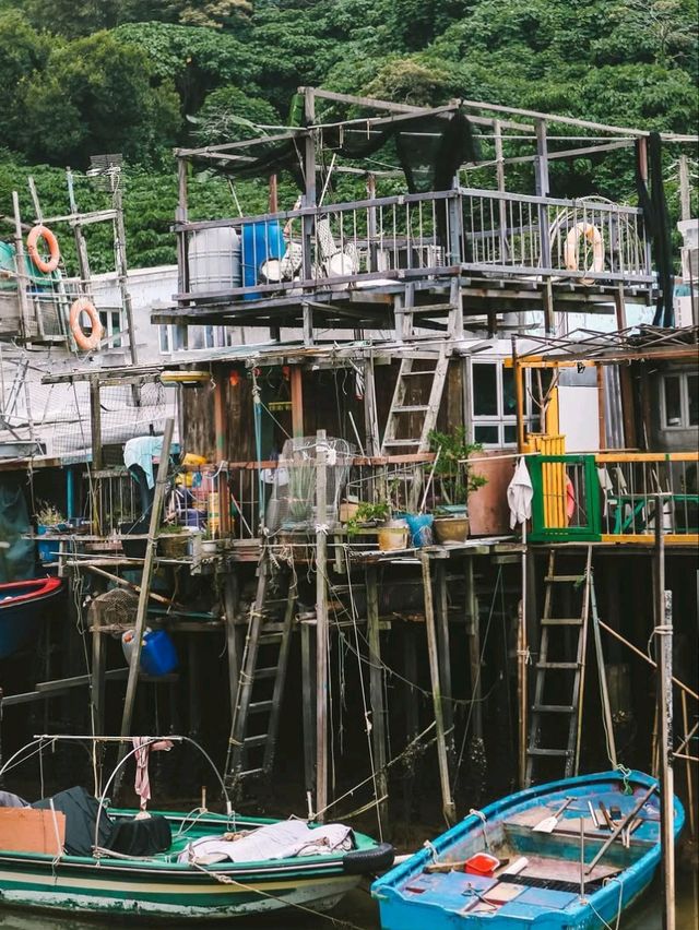 🎣🐟 A Day in Tai O: Hong Kong’s Hidden Fishing Paradise! 🛶🌊