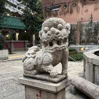 香港各區天后廟 (Tin Hau Temples across Hong Kong) - 天后誕慶典 (Tin Hau Birthday Celebrations)