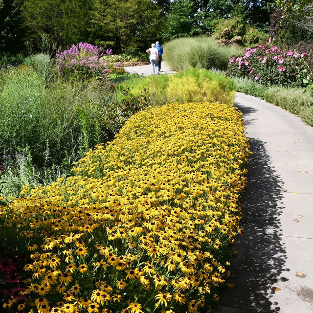 Peaceful Retreat – Royal Botanical Gardens in Late Summer 