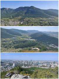千佛山仰望眾佛