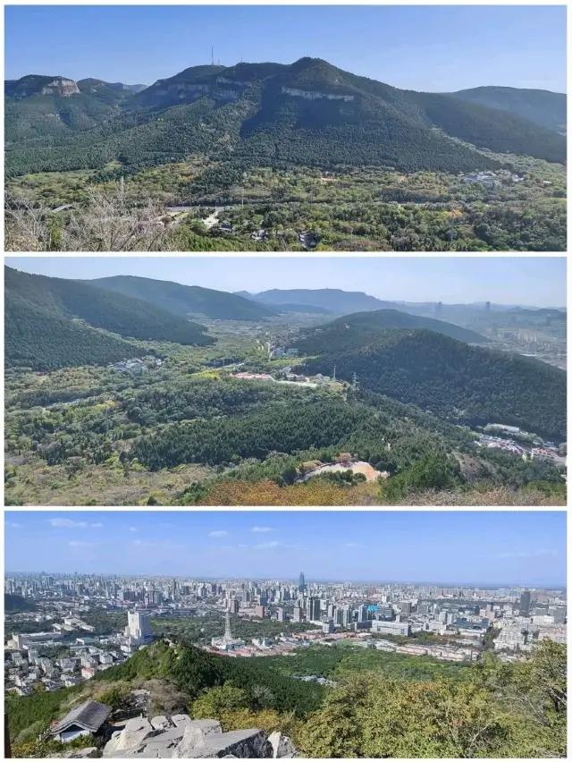 千佛山仰望眾佛