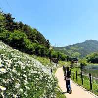 Jinbatgol forest park