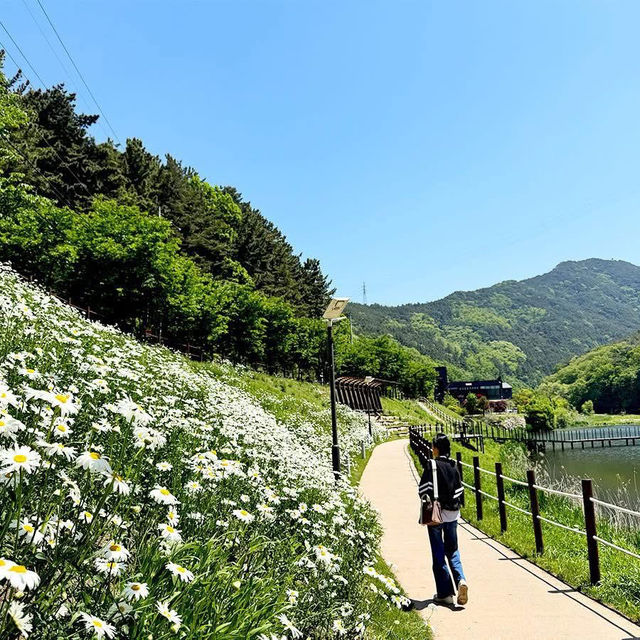 Jinbatgol forest park
