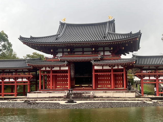 宇治抹茶