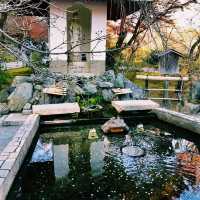 Zen in Bloom: Discovering Tenryu-ji Temple in Kyoto