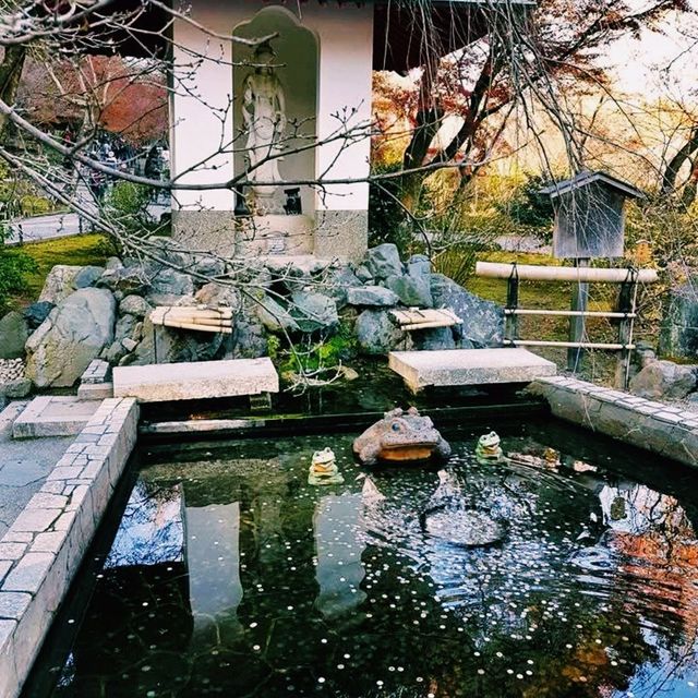 Zen in Bloom: Discovering Tenryu-ji Temple in Kyoto