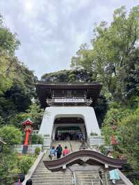 江島神社的洗錢大法⛩️