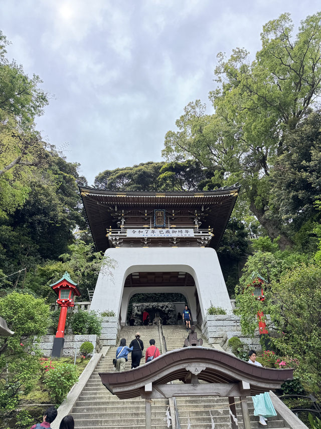 江島神社的洗錢大法⛩️