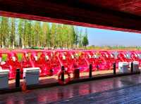 Dounan Wetland