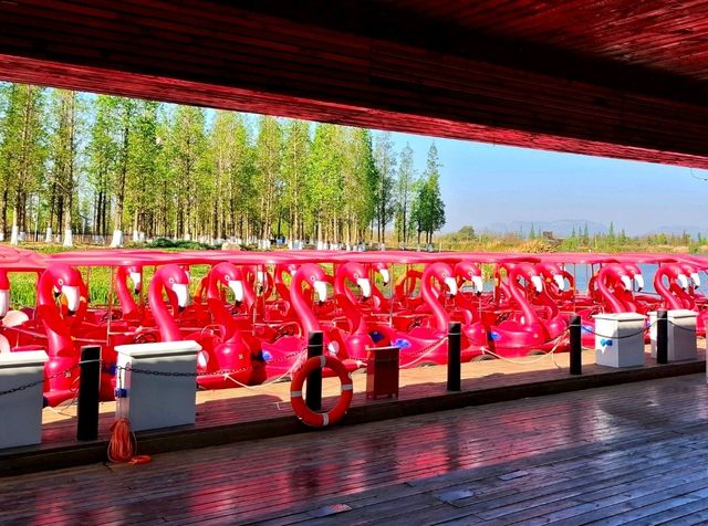Dounan Wetland