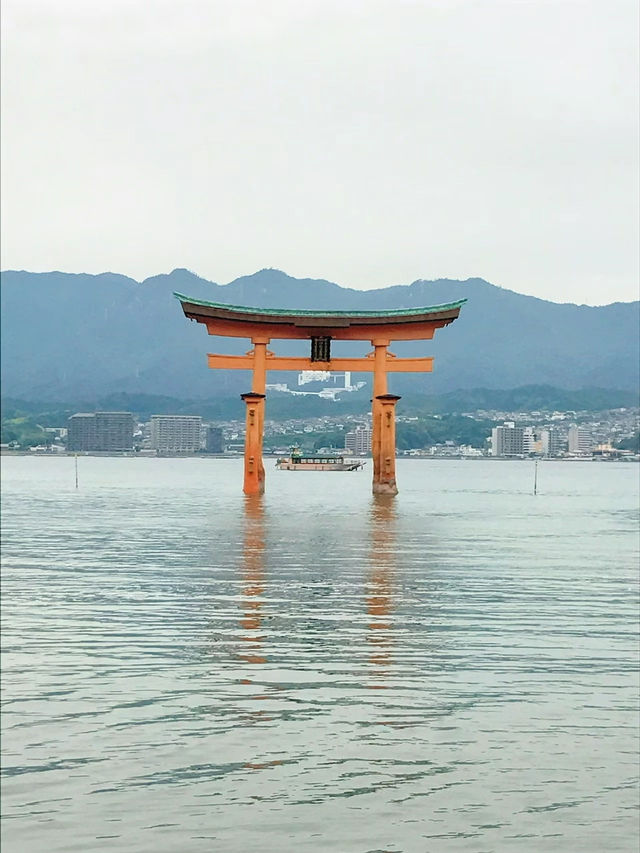 【最強神社3選】2025年は弁財天様の年✨絶対に行きたい神社『3選』はこちら!!
