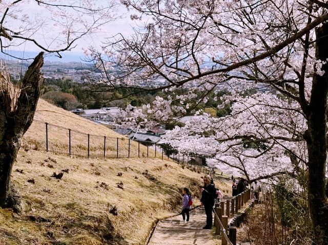 Sakuramon-bashi Bridge