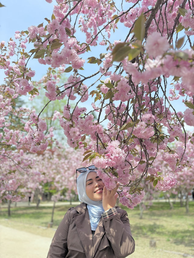 Going to Nami Island by Public Transport 😍