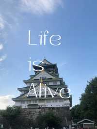 【大阪観光】オススメスポット一覧