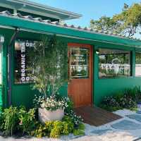Northland Tea : คาเฟ่ชาออร์แกนิก